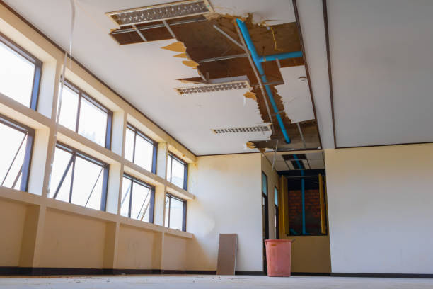 Best Water damage restoration services  in East Merrimack, NH