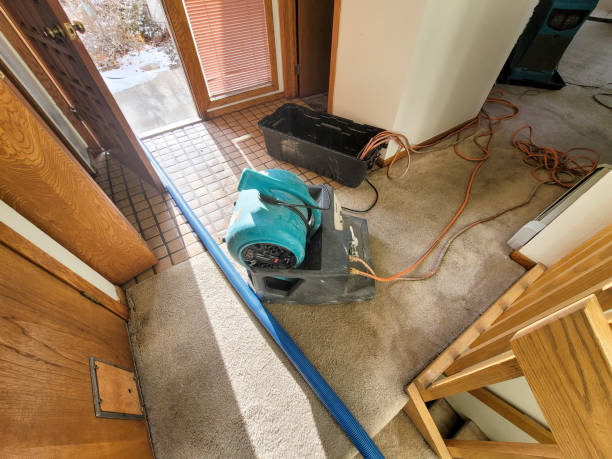 Best Water damage restoration near me  in East Merrimack, NH