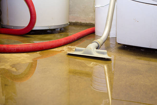 Best Ceiling water damage repair  in East Merrimack, NH