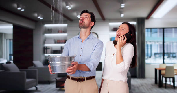 Best Water damage cleanup near me  in East Merrimack, NH